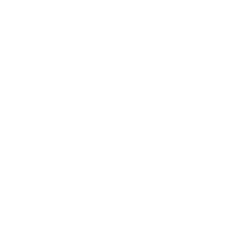 Government