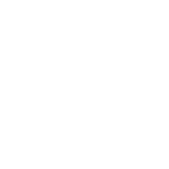 Transportation & Aviation