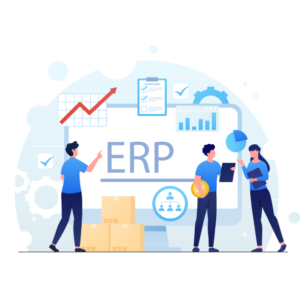 Oracle ERP Consultants