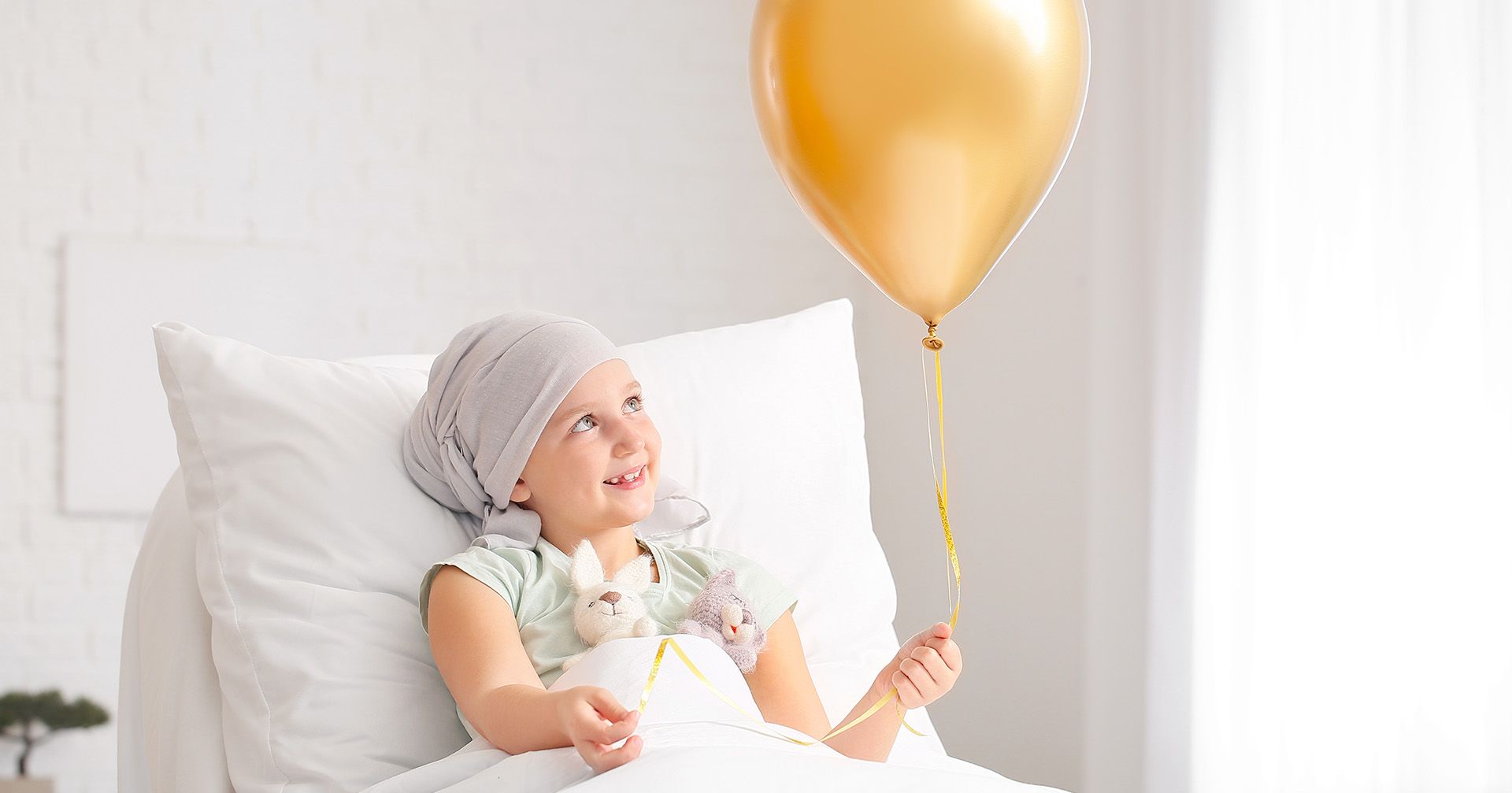 The Proposed Solution: