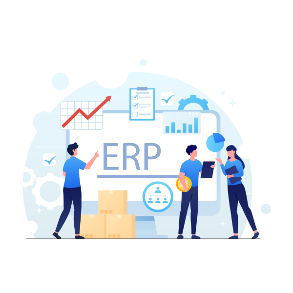 SAP Consultant